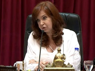 Insólito: CFK tuvo un picante cruce con Lousteau porque una senadora "se olvidó la contraseña"