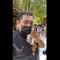 "El INE va a caer": celebra Salgado Macedonio que le concedan licencia para ausentarse del Senado