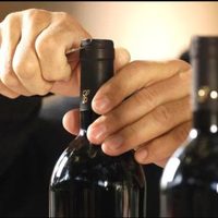 Por qué siempre hay que sacarle la cápsula que tapa el corcho en las botellas de vino