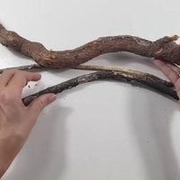 Aprovechá el invierno para guardar ramas secas: creá esta maceta colgante y rústica, con toda la onda para tu jardín