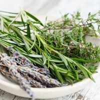 No gastes en repelentes: 3 plantas que ahuyentan plagas en tu huerta de forma natural