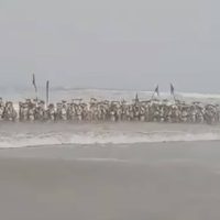 Buque pesquero halla tercer cuerpo de militar arrastrado por oleaje en Ensenada