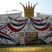 Reinventarse para sobrevivir: los artistas del circo Dihany ahora venden pollo