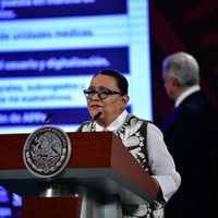 Juez ordenó liberar al hijo de "El Marro", lider del Cártel Santa Rosa de Lima: Rosa Icela Rodríguez