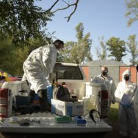 Por un caso positivo de gripe aviar, sacrificarán 40 mil gallinas en una granja de Plottier