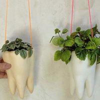Sin gastar fortuna en un bazar: mirá esta idea tan genial y "low cost" para crear un portamacetas colgante