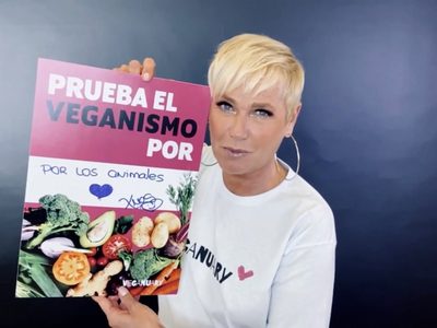 Más de 400 mil personas se sumaron a una propuesta vegana en enero