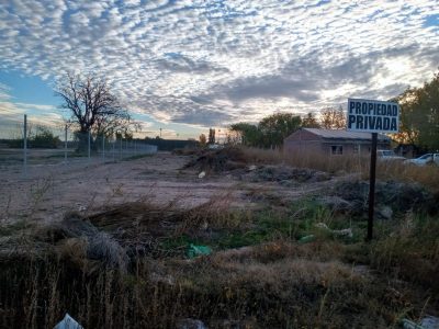 Crianceros de la comarca petrolera, indignados con los vecinos: “Llegan, contaminan y se van”