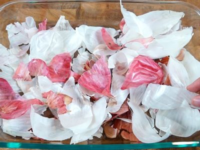 No volverás a tirar las cáscaras de ajo: para qué sirve ponerlas en agua y cómo pueden convertirse en fertilizante natural