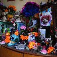 Que nadie se olvide de sus mascotas: altares del Día de Muertos en México también honran a animales