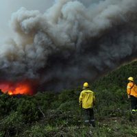 Incendios forestales: Preocupan los fogones en zonas prohibidas en plena emergencia ígnea en Neuquén