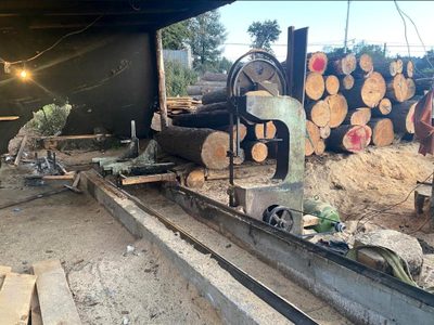 FGR desmantela cinco aserraderos ilegales en Morelos