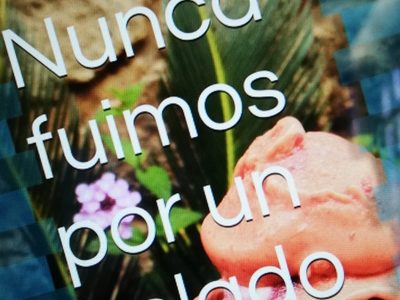 "Nunca fuimos por un helado", novela de Zamira Bringas