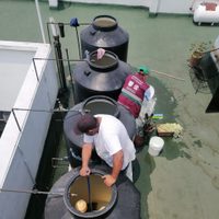Sin afectación, el agua de 13 pozos en Benito Juárez y Álvaro Obregón: Martí Batres