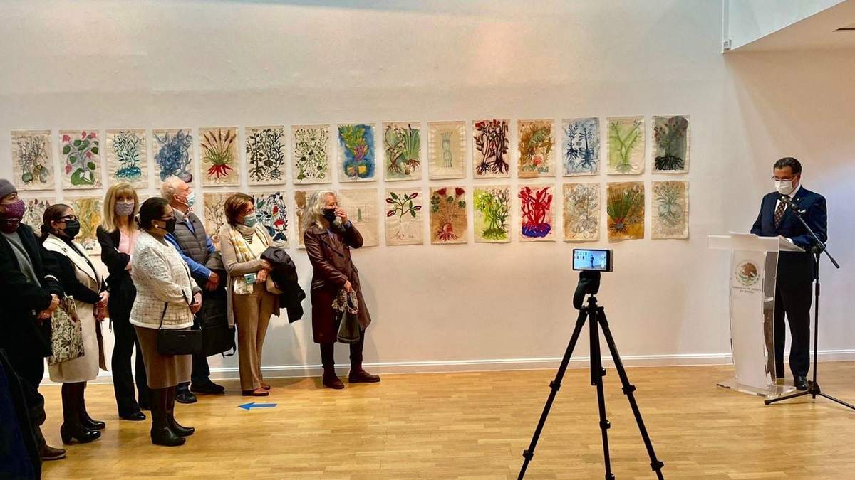 Exposición “Geografía de las plantas mexicanas” de la pintora Isabel Leñero