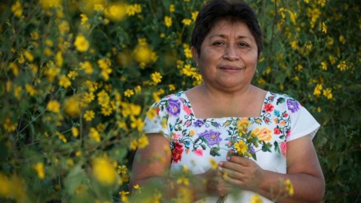 Leydy Aracely Pech Martín