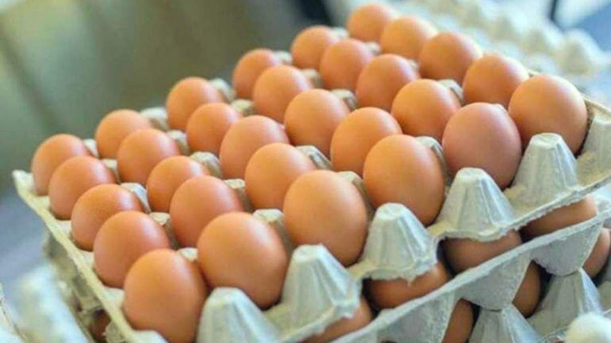 Maples de huevos. Fuente: (X)