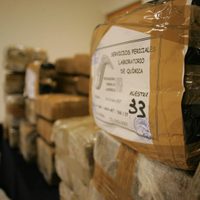 3 mil 260 adolescentes cometieron delitos de narcomenudeo en 2021: Inegi