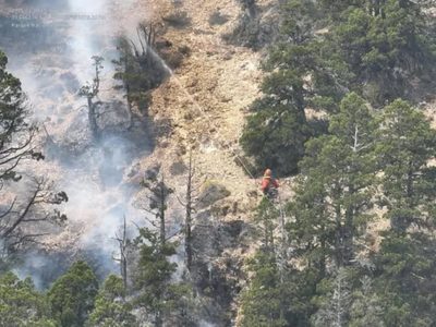 Incendio en Valle Magdalena: continúan los operativos para contener el fuego en el Parque Nacional Lanín