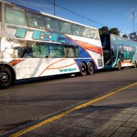 Caos en el centro de Neuquén: por qué los colectivos copan las calles