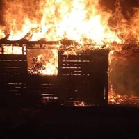 Captura de “El Muñeco”, vinculado al Cártel de Santa Rosa de Lima, desata violencia en Guanajuato