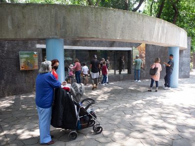 ¿Cuántos días de descanso obligatorio habrá en mayo 2024?