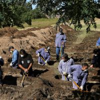 Coronavirus: serán "entre 100 y 150" los fallecidos por día en los próximos días
