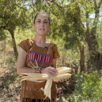 “Sin maíz no hay país”: Sheinbaum celebra iniciativa contra grano transgénico