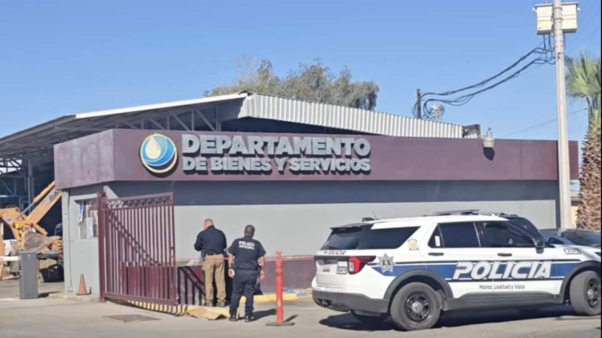Policías en el lugar donde fue encontrada la cabeza de cerdo