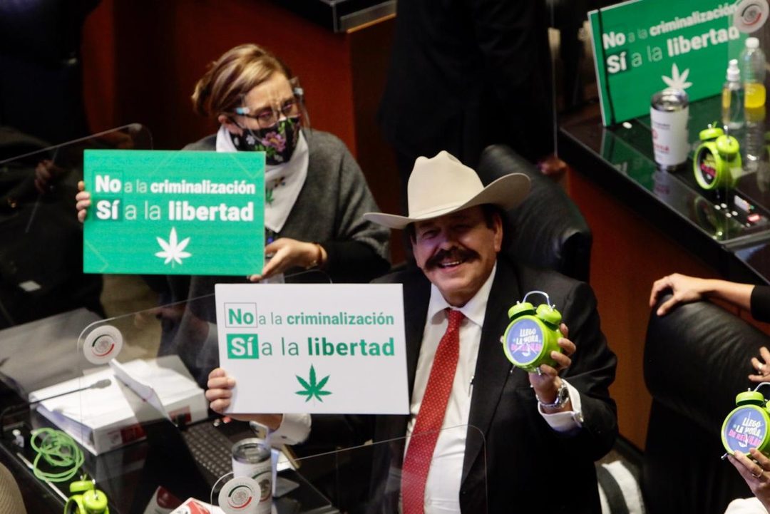 senado mariguana