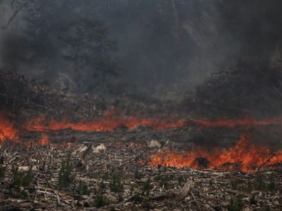 El ejército instalará un campamento para ayudar a combatir los incendios en Aluminé