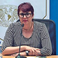 En el sexenio de Peña, el boom de prestanombres para concesionar gasolinerías