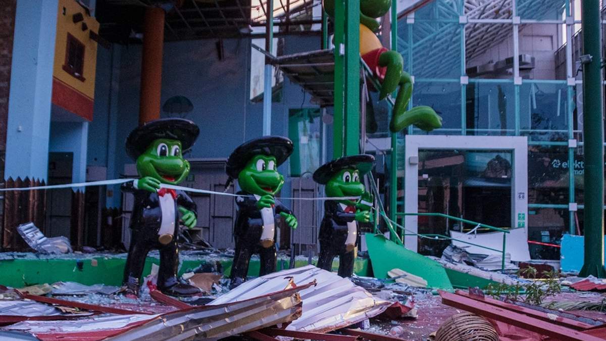 Las ranas marichi en Acapulco después del paso del huracán Otis
