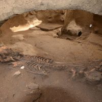 Descubren arqueólogos 26 fosas con restos de entierros humanos y municiones (Video)