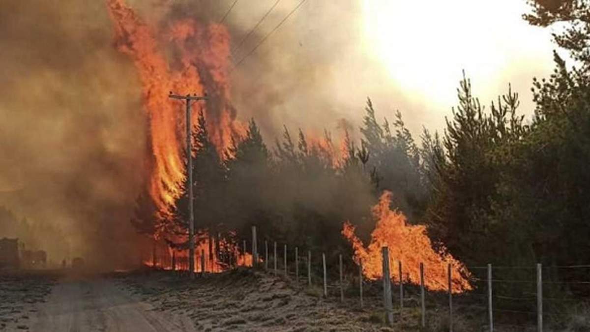 Incendio en El Bolsón. Fuente: (Twitter)