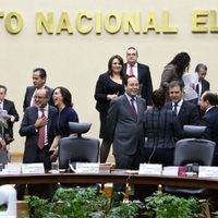 Con un costo de 260 mdp, INE aprueba mantener seguros de separación individualizada