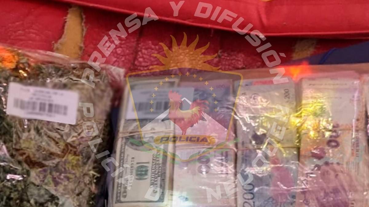 Parte de lo secuestrado por la Policía en los allanamientos. Fuente: (Policía de Neuquén)