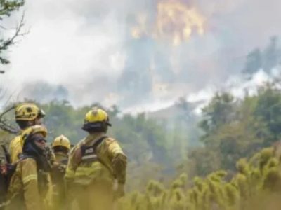 Incendio en Cuesta de Pío Protto: bomberos lograron extinguir el fuego