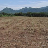 Campesinos del Valle de Tehuacán acusan a agroindustrias chinas de usar aeronaves antigranizo