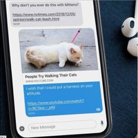 Registra falla Signal, la alternativa a WhatsApp