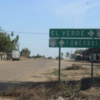 Colectivos de desaparecidos exigen a Sheinbaum y a Godoy informar sobre hallazgos en El Verde