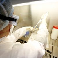 Energía: La CNEA desarrolla una cabina de seguridad contra el COVID-19 para el personal médico