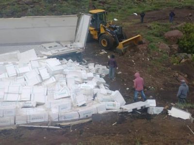 Un camión que transportaba salmón desde Chile volcó y los vecinos pudieron llevarse algunas cajas