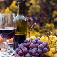 Bodegas de Argentina se une al Consejo Agroindustrial