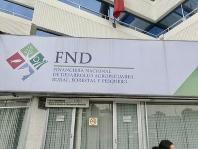 AMLO justifica la desaparición de Financiera Rural: "ya estaba dañada desde que llegamos"