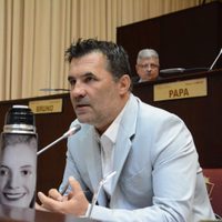 Darío Martínez aseguró que se redujeron las transferencias por coparticipación a Neuquén