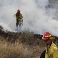 Incendio en Centenario cerca de Ruta 7: bomberos denuncian falta de camiones cisterna