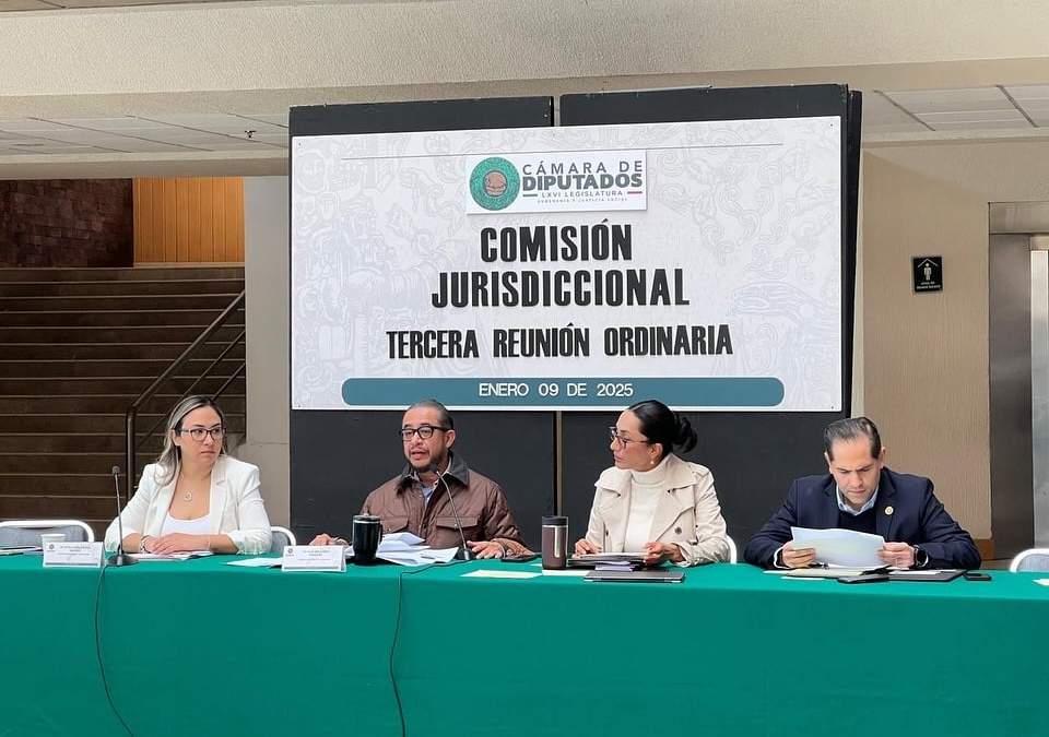 Comisión jurisdiccional Cámara de Diputados
