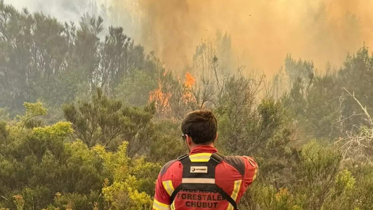 Incendios en la Patagonia: 500 bomberos luchan contra el fuego
