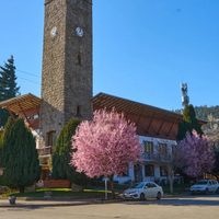 Saloniti destacó los "beneficios" que brindará el estacionamiento medido en San Martín de los Andes